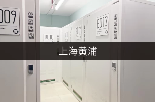 上海黄浦,仓储出租新选择迷你考拉仓,让货物存放更省心 上海黄浦,仓储出租新选择迷你考拉仓,让货物存放更省心