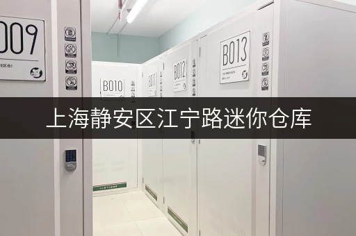 上海静安区江宁路迷你仓库,安全与温湿监控,打造您的私人储物空间 上海静安区江宁路迷你仓库,安全与温湿监控,打造您的私人储物空间