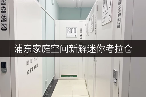 浦东家庭空间新解迷你考拉仓,释放空间,提升生活品质 浦东家庭空间新解迷你考拉仓,释放空间,提升生活品质