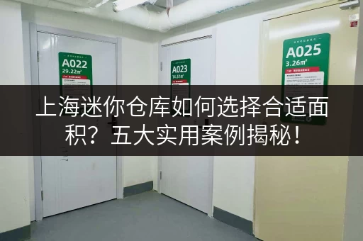 上海迷你仓库如何选择合适面积?五大实用案例揭秘! 上海迷你仓库如何选择合适面积?五大实用案例揭秘!