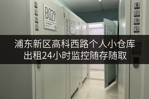 浦东新区高科西路个人小仓库出租24小时监控随存随取