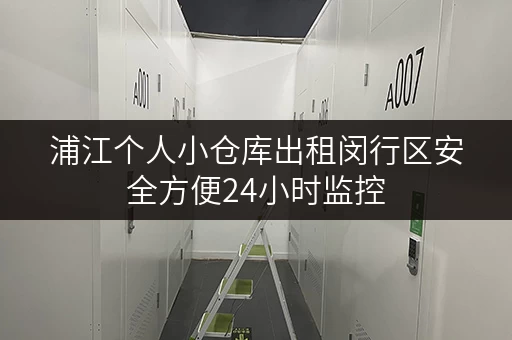 浦江个人小仓库出租闵行区安全方便24小时监控