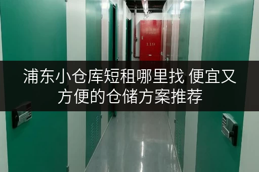 浦东小仓库短租哪里找 便宜又方便的仓储方案推荐 浦东小仓库短租哪里找 便宜又方便的仓储方案推荐