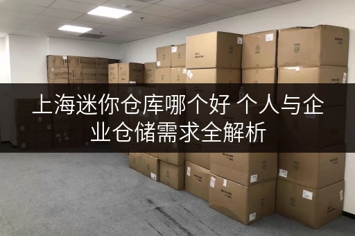上海迷你仓库哪个好 个人与企业仓储需求全解析