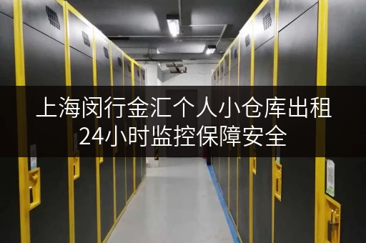 上海闵行金汇个人小仓库出租24小时监控保障安全 上海闵行金汇个人小仓库出租24小时监控保障安全