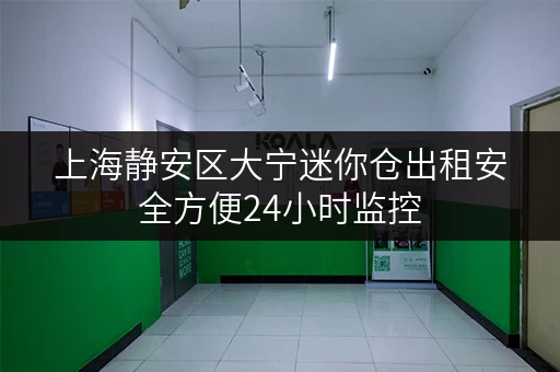 上海静安区大宁迷你仓出租安全方便24小时监控 上海静安区大宁迷你仓出租安全方便24小时监控