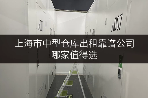上海市中型仓库出租靠谱公司哪家值得选