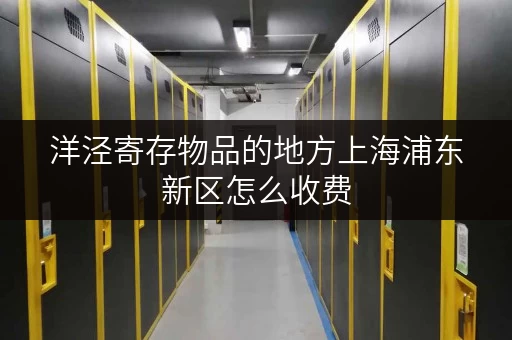 洋泾寄存物品的地方上海浦东新区怎么收费 洋泾寄存物品的地方上海浦东新区怎么收费