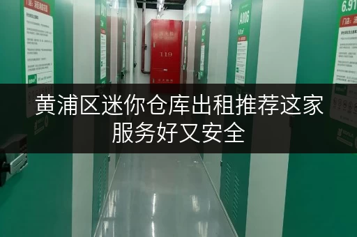 黄浦区迷你仓库出租推荐这家服务好又安全 黄浦区迷你仓库出租推荐这家服务好又安全
