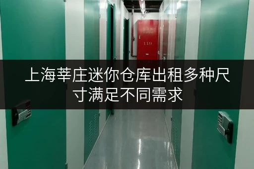 上海莘庄迷你仓库出租多种尺寸满足不同需求 上海莘庄迷你仓库出租多种尺寸满足不同需求