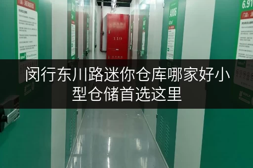 闵行东川路迷你仓库哪家好小型仓储首选这里