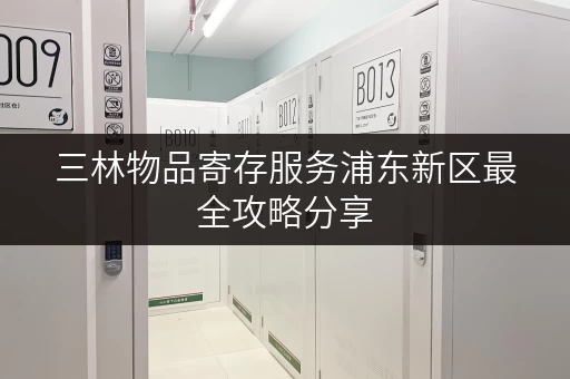 三林物品寄存服务浦东新区最全攻略分享 三林物品寄存服务浦东新区最全攻略分享
