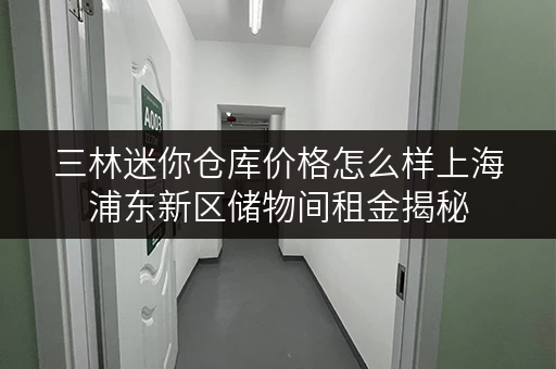 三林迷你仓库价格怎么样上海浦东新区储物间租金揭秘 三林迷你仓库价格怎么样上海浦东新区储物间租金揭秘