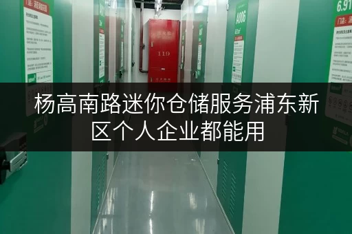 杨高南路迷你仓储服务浦东新区个人企业都能用