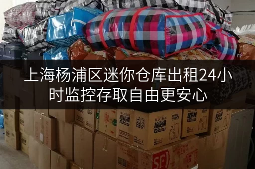 上海杨浦区迷你仓库出租24小时监控存取自由更安心