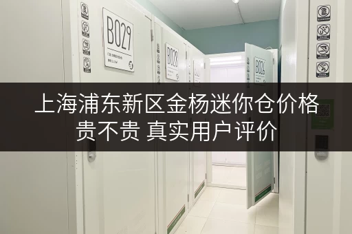 上海浦东新区金杨迷你仓价格贵不贵 真实用户评价 上海浦东新区金杨迷你仓价格贵不贵 真实用户评价