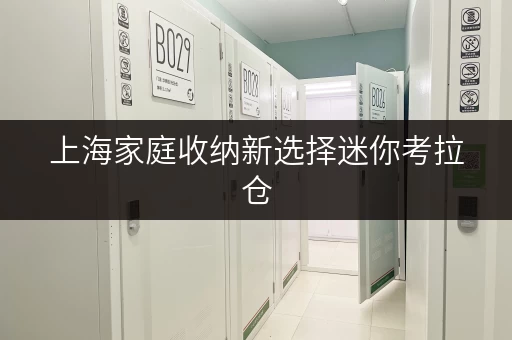 上海家庭收纳新选择迷你考拉仓,随存随取,便捷无忧 上海家庭收纳新选择迷你考拉仓,随存随取,便捷无忧