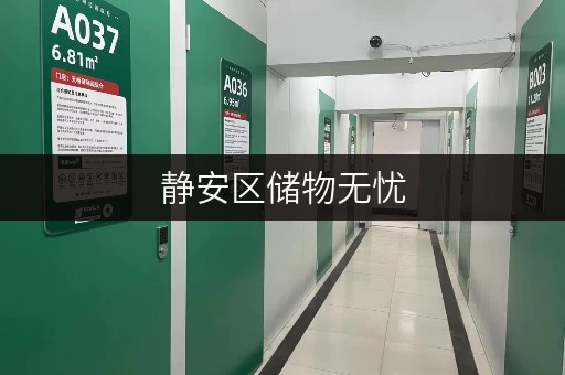 静安区储物无忧,迷你考拉仓守护你的宝贝空间 静安区储物无忧,迷你考拉仓守护你的宝贝空间