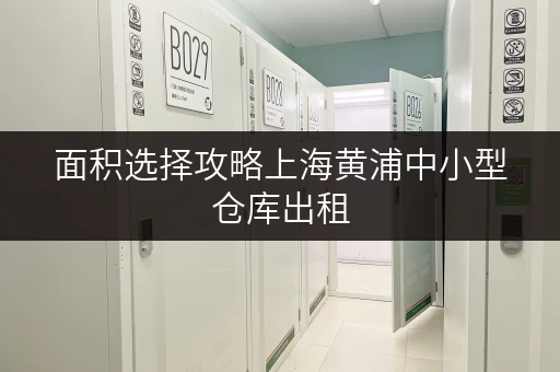面积选择攻略上海黄浦中小型仓库出租,迷你考拉仓助您明智决策 面积选择攻略上海黄浦中小型仓库出租,迷你考拉仓助您明智决策