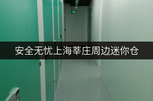 安全无忧上海莘庄周边迷你仓,温湿监控守护您的宝贵物品 安全无忧上海莘庄周边迷你仓,温湿监控守护您的宝贵物品