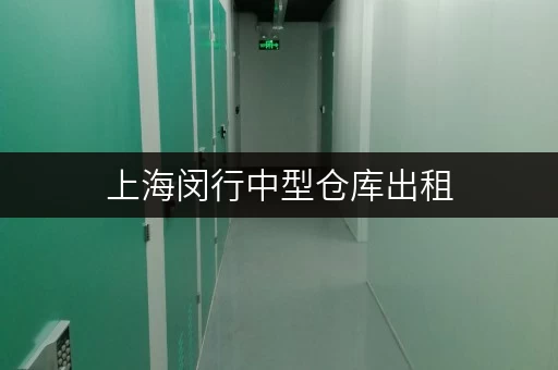 上海闵行中型仓库出租,迷你考拉仓为您打造安心之选 上海闵行中型仓库出租,迷你考拉仓为您打造安心之选