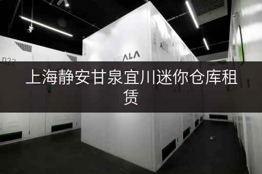 上海静安甘泉宜川迷你仓库租赁,轻松解决货物存放烦恼 上海静安甘泉宜川迷你仓库租赁,轻松解决货物存放烦恼