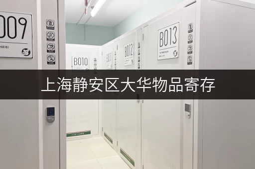 上海静安区大华物品寄存,安全温湿监控,您的储物无忧之选 上海静安区大华物品寄存,安全温湿监控,您的储物无忧之选