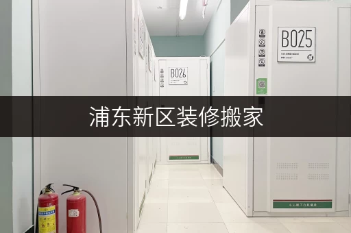 浦东新区装修搬家,迷你考拉仓为您提供便捷临时存储方案 浦东新区装修搬家,迷你考拉仓为您提供便捷临时存储方案