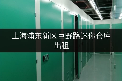 上海浦东新区巨野路迷你仓库出租,随存随取,尽享便捷生活 上海浦东新区巨野路迷你仓库出租,随存随取,尽享便捷生活
