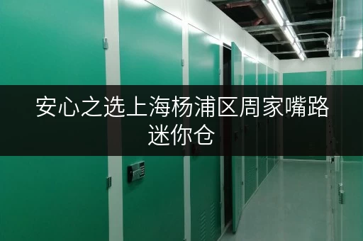 安心之选上海杨浦区周家嘴路迷你仓,温湿监控保障您的宝贵物品 安心之选上海杨浦区周家嘴路迷你仓,温湿监控保障您的宝贵物品