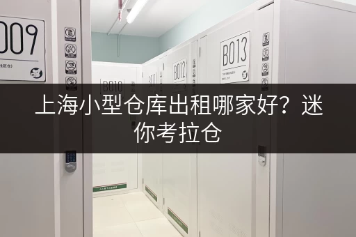 上海小型仓库出租哪家好?迷你考拉仓,家庭空间释放新选择 上海小型仓库出租哪家好?迷你考拉仓,家庭空间释放新选择