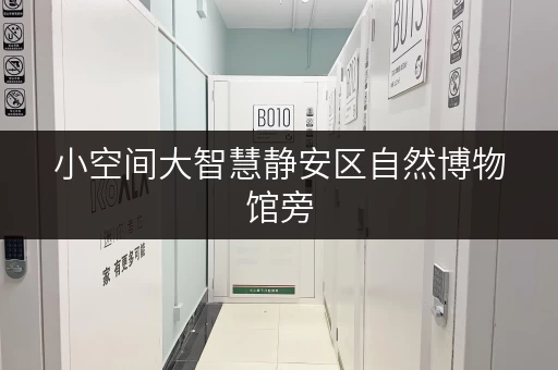 小空间大智慧静安区自然博物馆旁,迷你考拉仓助您释放生活空间 小空间大智慧静安区自然博物馆旁,迷你考拉仓助您释放生活空间
