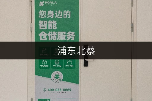 浦东北蔡,空间释放新选择——迷你考拉仓,面积选择全攻略 浦东北蔡,空间释放新选择——迷你考拉仓,面积选择全攻略