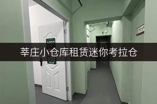 莘庄小仓库租赁迷你考拉仓，守护您物品的“温馨家园”