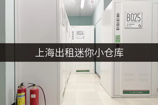 上海出租迷你小仓库,释放办公空间新思路 上海出租迷你小仓库,释放办公空间新思路