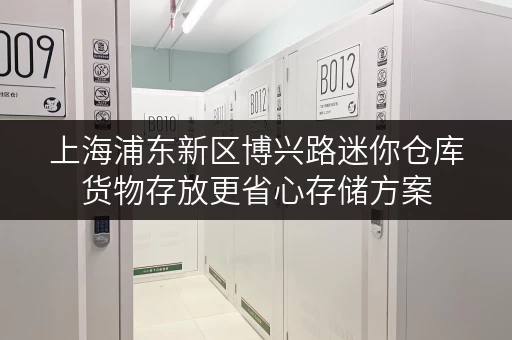 上海浦东新区博兴路迷你仓库货物存放更省心存储方案 上海浦东新区博兴路迷你仓库货物存放更省心存储方案
