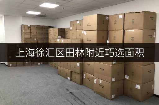 上海徐汇区田林附近巧选面积，轻松解决你的寄存难题——迷你考拉仓全攻略