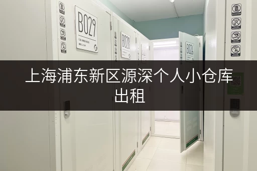 上海浦东新区源深个人小仓库出租，面积选择攻略，轻松收纳生活