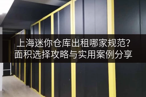 上海迷你仓库出租哪家规范?面积选择攻略与实用案例分享 上海迷你仓库出租哪家规范?面积选择攻略与实用案例分享
