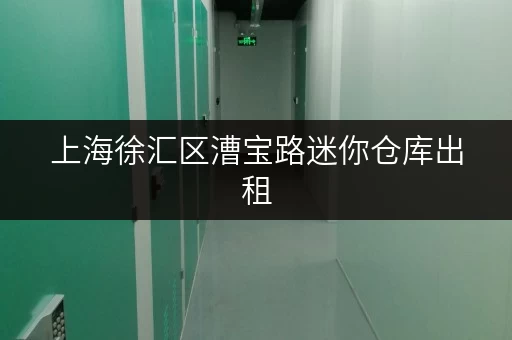 上海徐汇区漕宝路迷你仓库出租,安全温湿监控,打造您的私人储物空间 上海徐汇区漕宝路迷你仓库出租,安全温湿监控,打造您的私人储物空间
