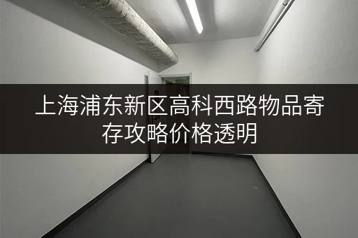 上海浦东新区高科西路物品寄存攻略价格透明，省钱秘籍大公开！
