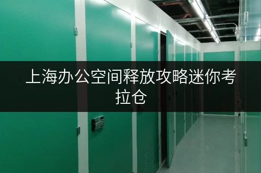 上海办公空间释放攻略迷你考拉仓,让您的办公环境焕然一新 上海办公空间释放攻略迷你考拉仓,让您的办公环境焕然一新