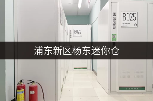 浦东新区杨东迷你仓，安全守护您的每一件珍宝