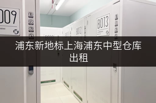 浦东新地标上海浦东中型仓库出租，迷你考拉仓助您存取无忧，全天候服务畅享便捷！