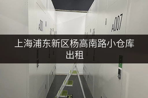 上海浦东新区杨高南路小仓库出租,办公空间释放新可能 上海浦东新区杨高南路小仓库出租,办公空间释放新可能