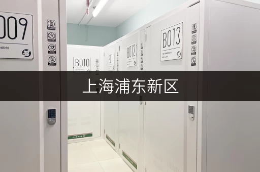 上海浦东新区,花木寄存新选择——迷你考拉仓,让工具随存随取更便捷 上海浦东新区,花木寄存新选择——迷你考拉仓,让工具随存随取更便捷
