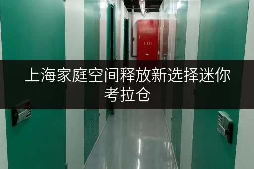 上海家庭空间释放新选择迷你考拉仓，大件物品寄存专家