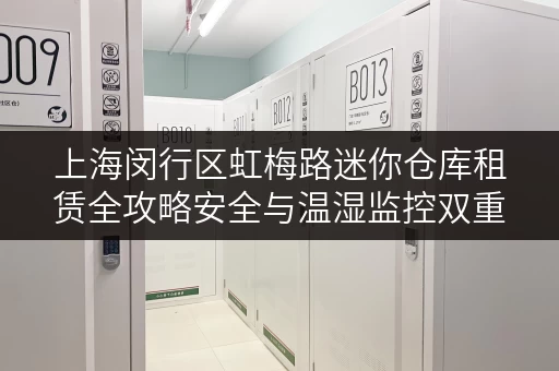 上海闵行区虹梅路迷你仓库租赁全攻略安全与温湿监控双重保障 上海闵行区虹梅路迷你仓库租赁全攻略安全与温湿监控双重保障