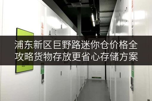 浦东新区巨野路迷你仓价格全攻略货物存放更省心存储方案