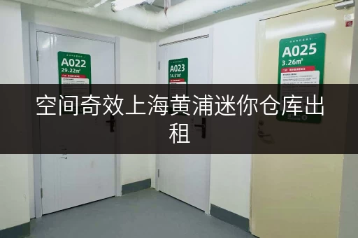 空间奇效上海黄浦迷你仓库出租,办公用品存放新选择,释放办公空间无忧 空间奇效上海黄浦迷你仓库出租,办公用品存放新选择,释放办公空间无忧